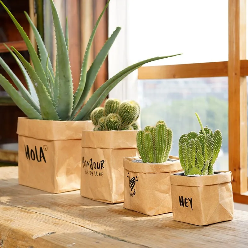 Bulk Wholesale Washable Reusable Kraft Paper Bag for Pot Plant Food Storage Decoration 11 Bulk Wholesale