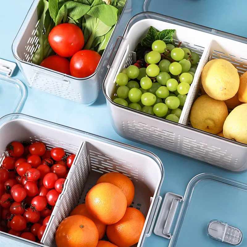 Wholesale Home Storage Drainer Basket for Kitchen with Lid 10 Home Storage