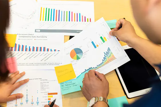 Market Research and Analysis 2024101203295485