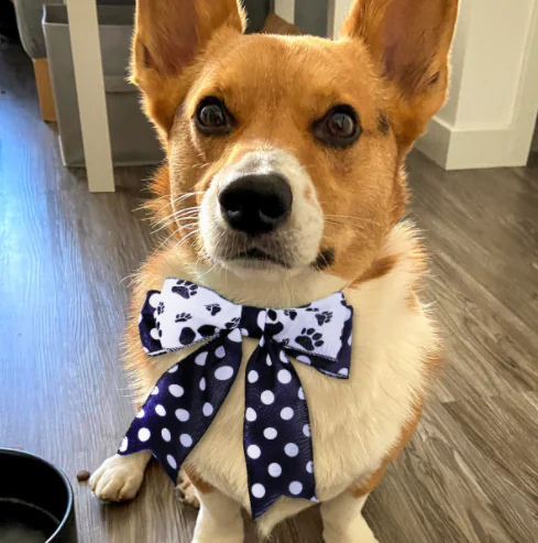 Captura de pantalla de WeChat Enterprise 20250122160629 2025012208163574