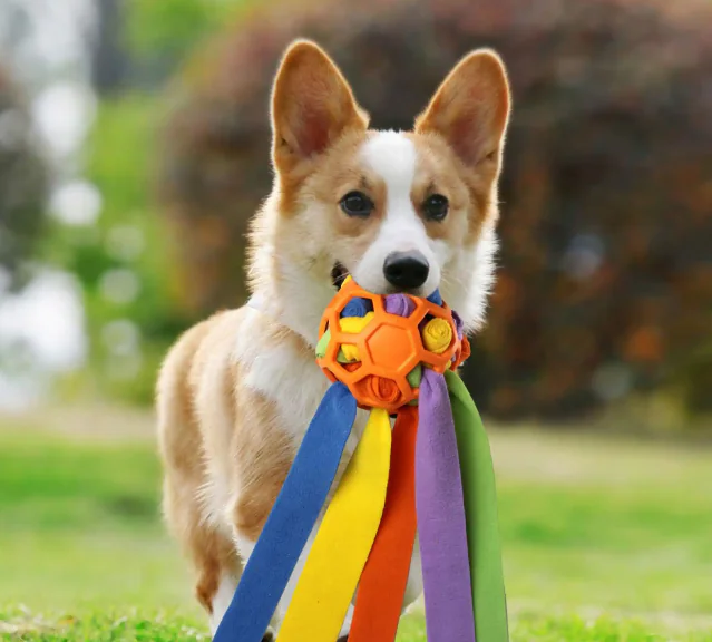 How to Navigate Pet Products Wholesale for Better Profit Margins in 2025