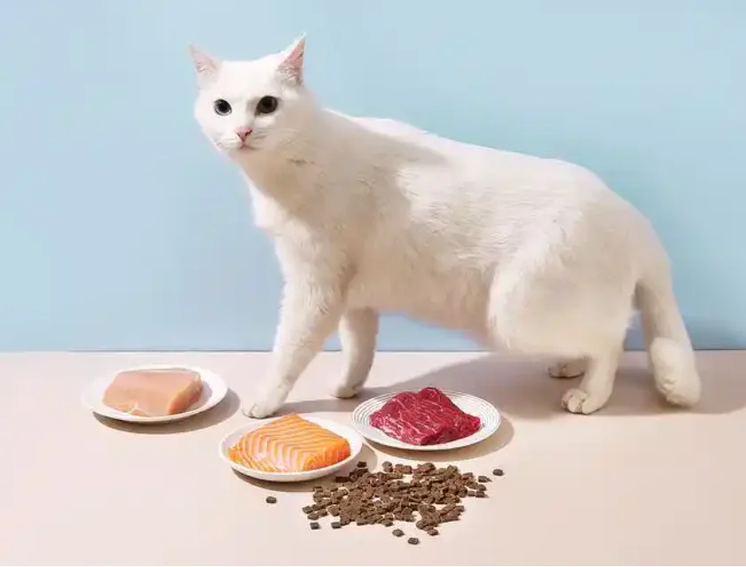 How to Navigate Pet Products Wholesale for Better Profit Margins in 2025