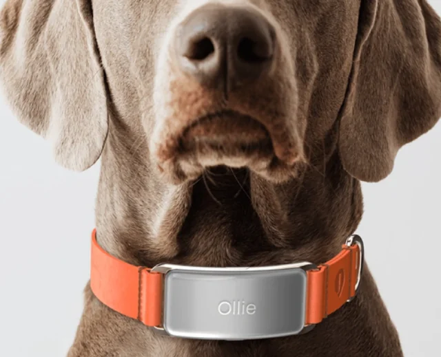 企业微信截图 20250611171800