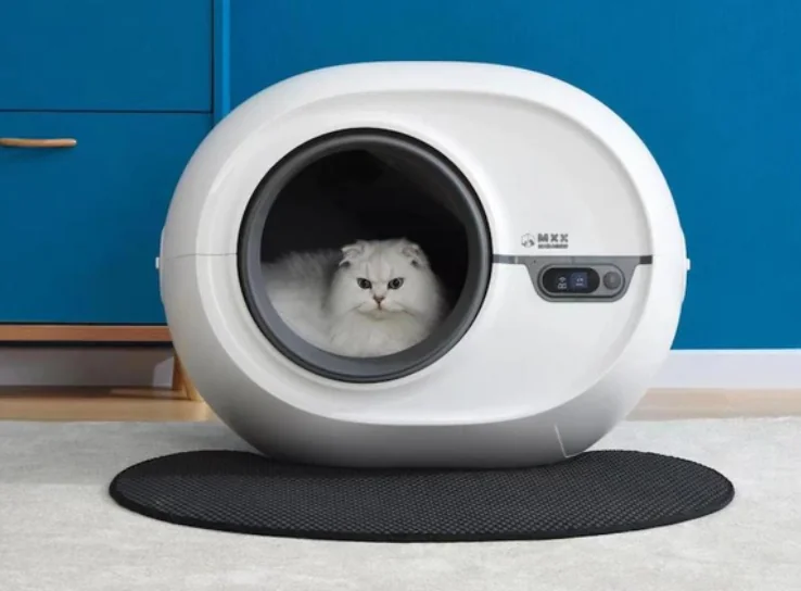 企业微信截图 20250611171827