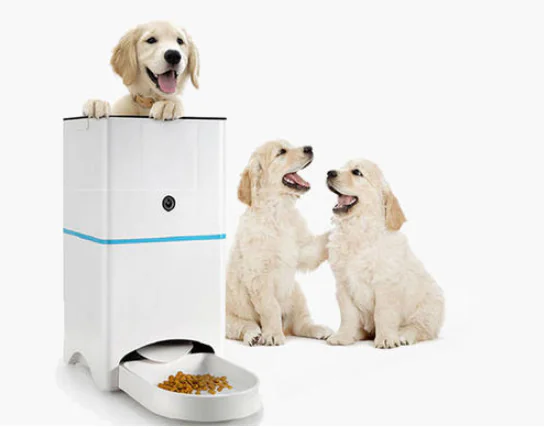 企业微信截图 20250611171841