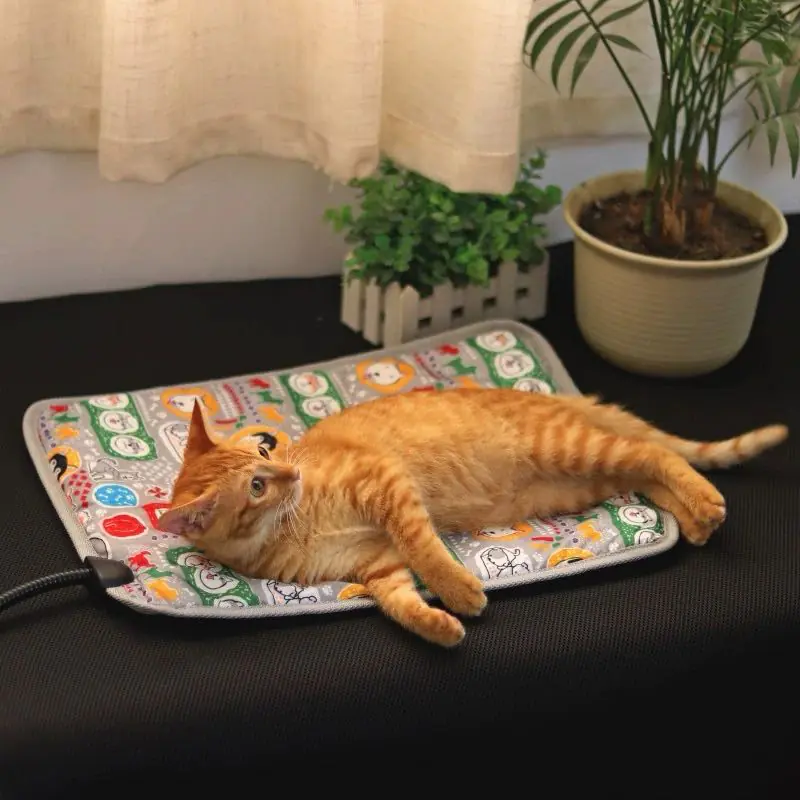 Camas elétricas para animais de estimação no atacado