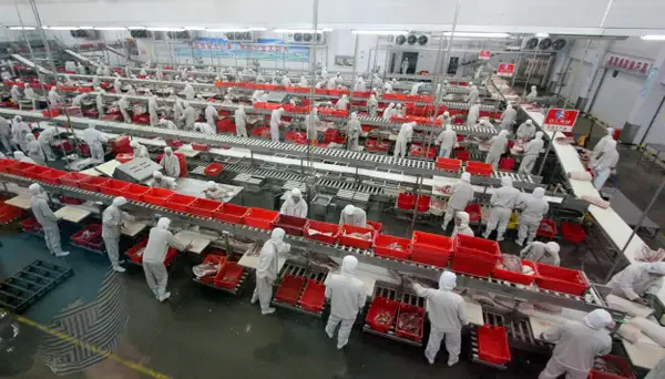 Alimentos processados e bebidas fabricados na China